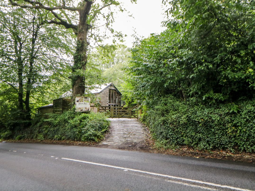 Tamar Barn