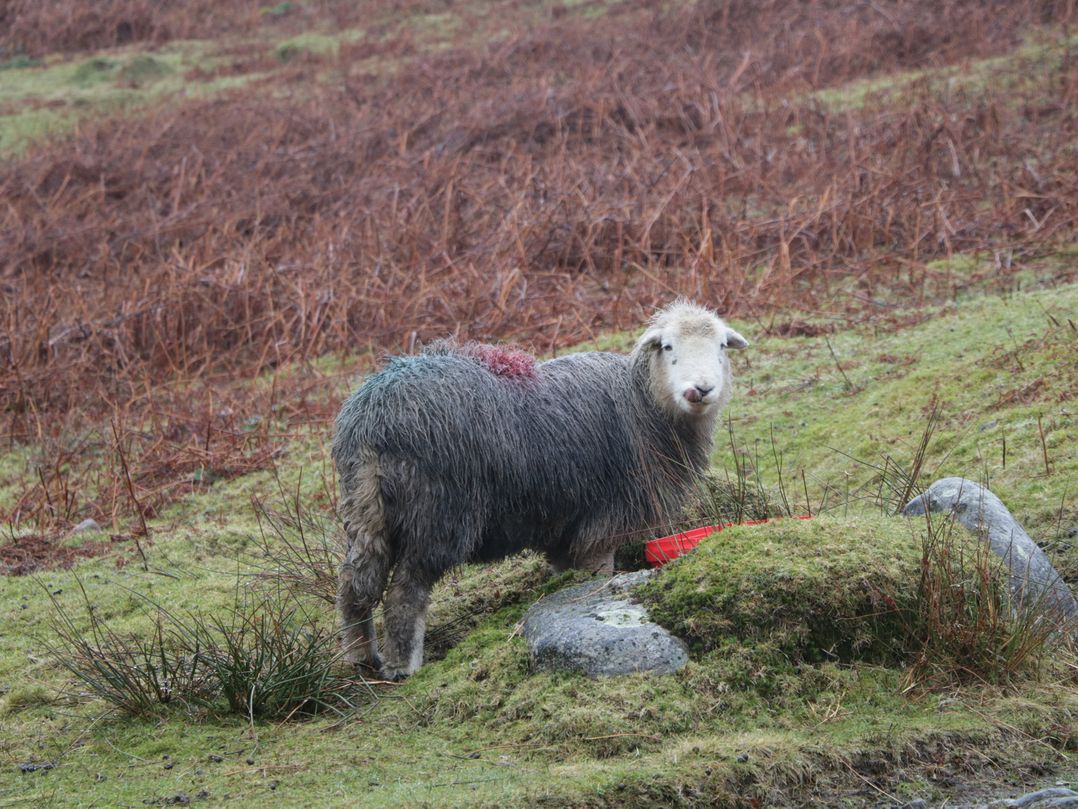 Low Dow Crag