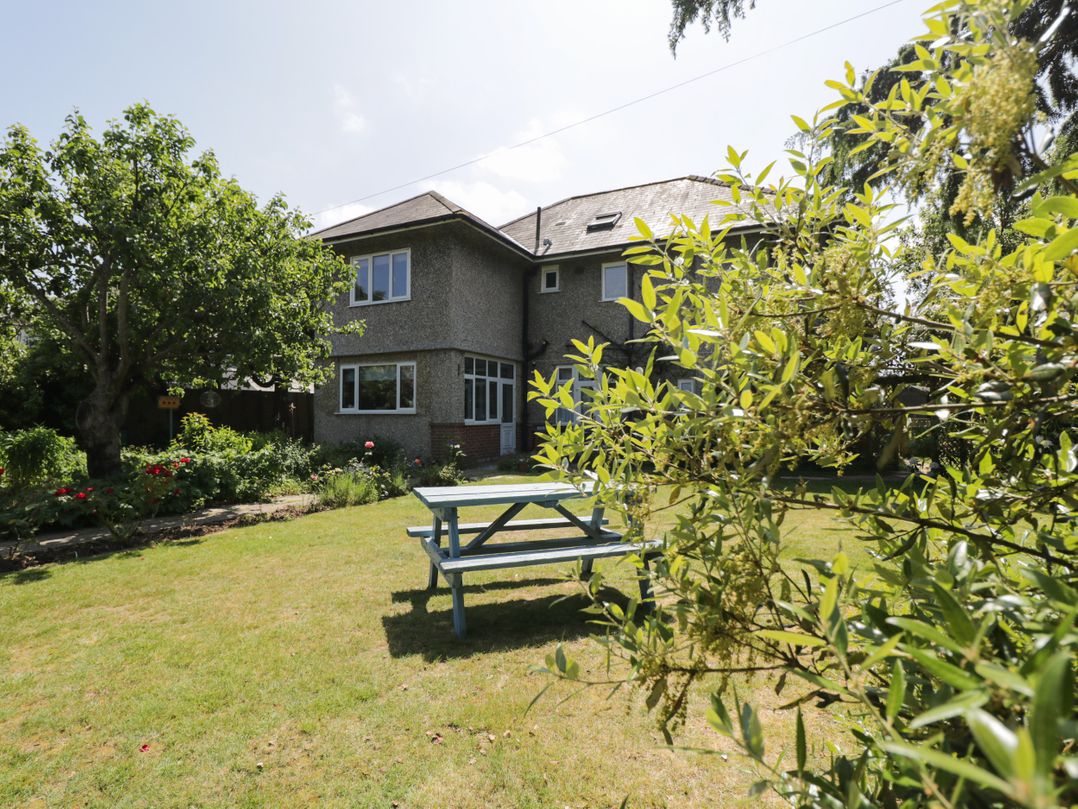 Molly's Place