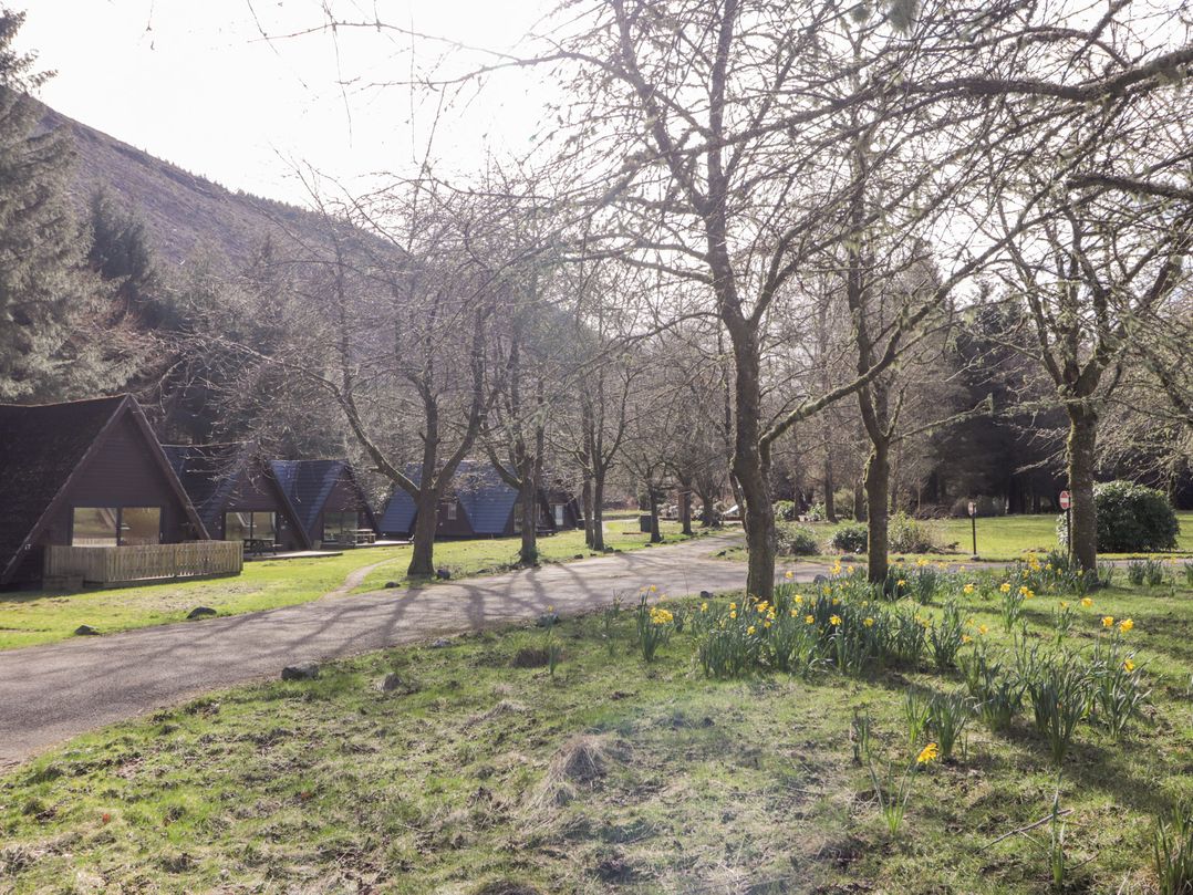Owl Lodge