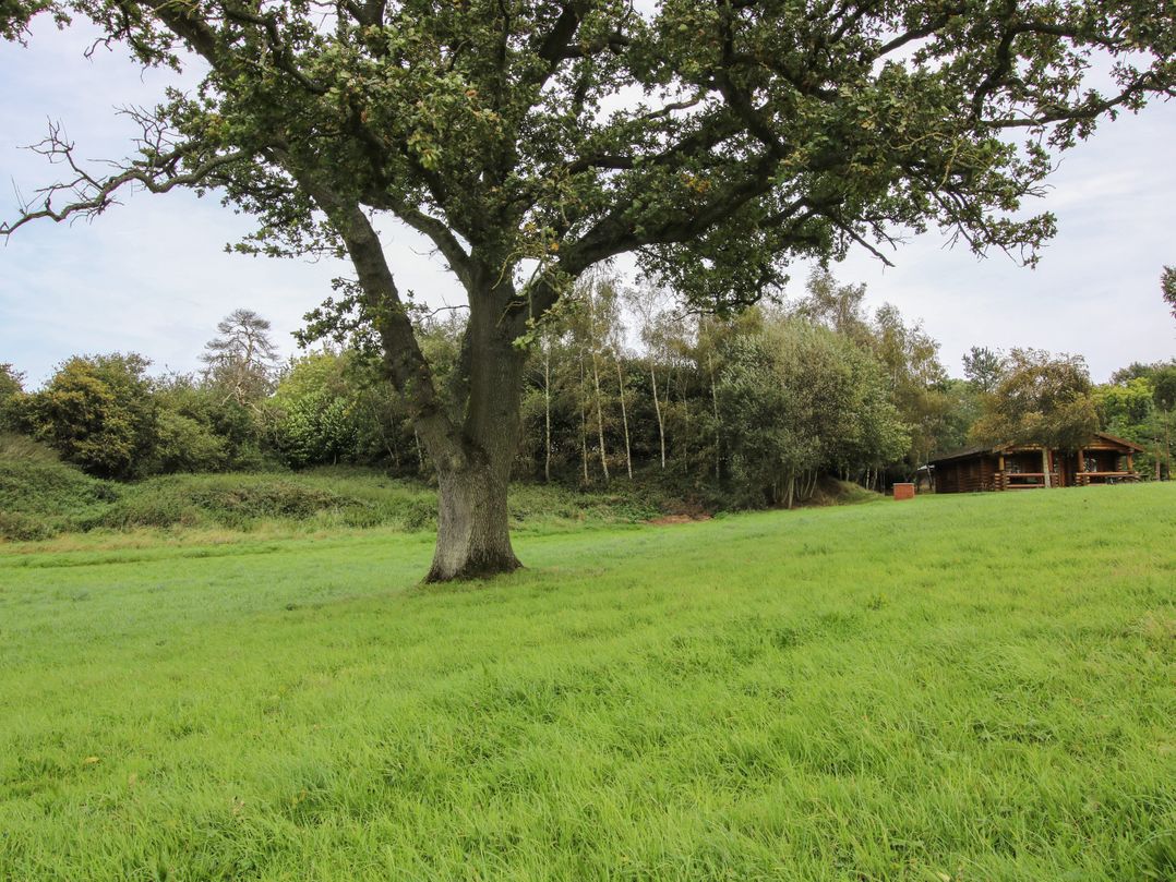 Brynallt Country Park