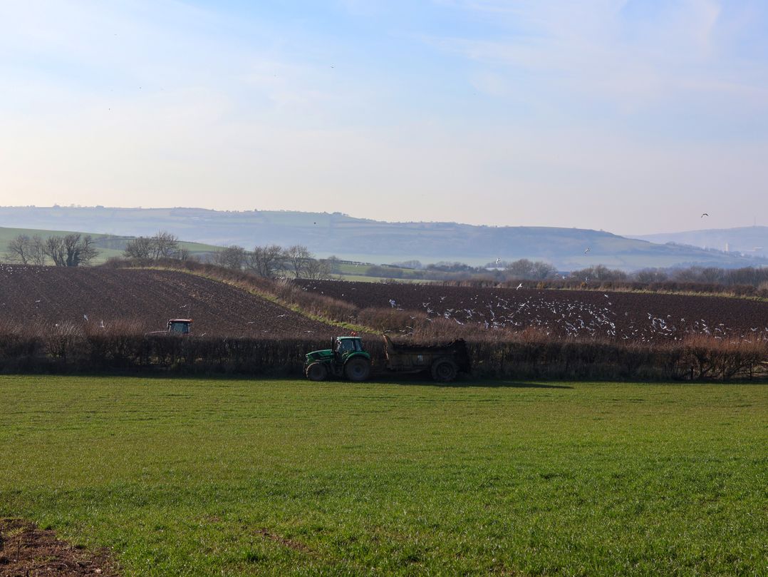 The Old Dairy, Ellerby