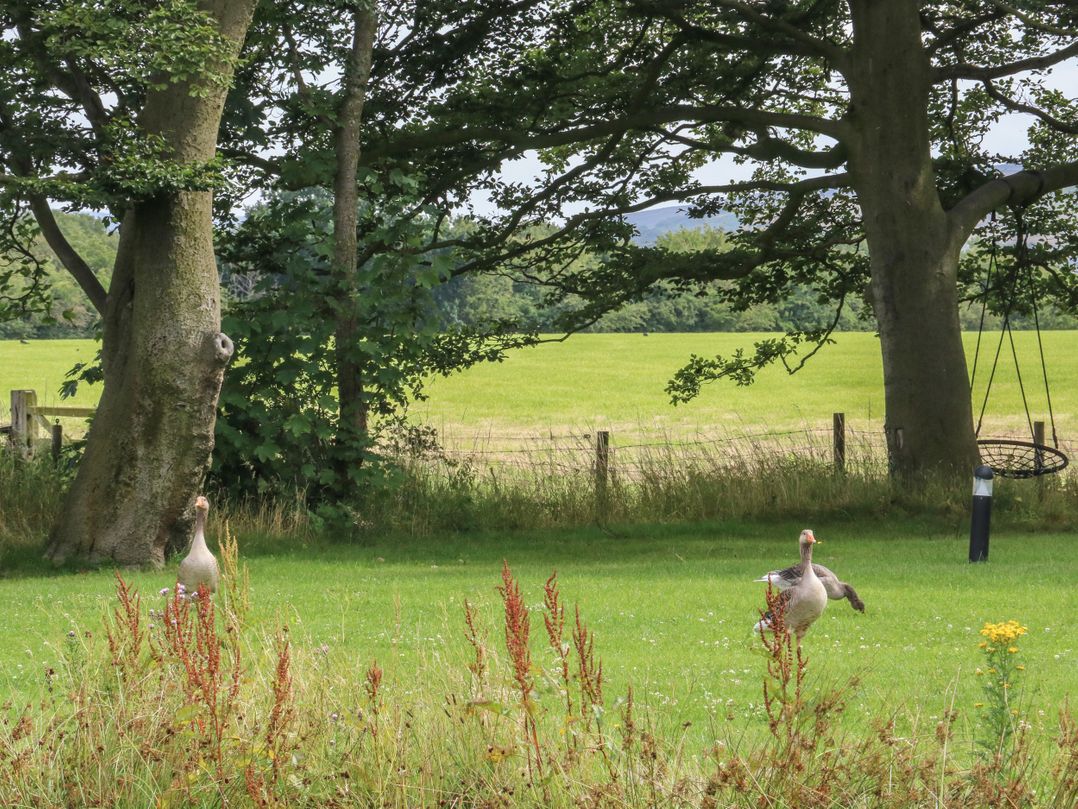 Ruperts Retreat