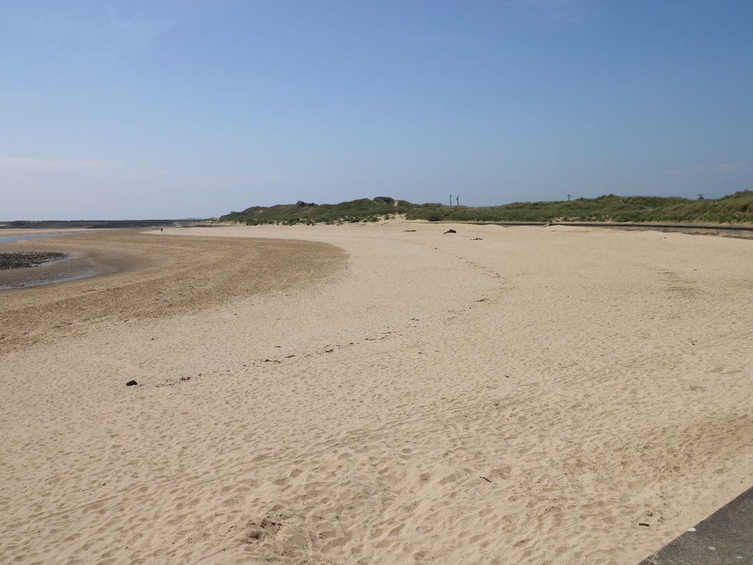 Brynawel