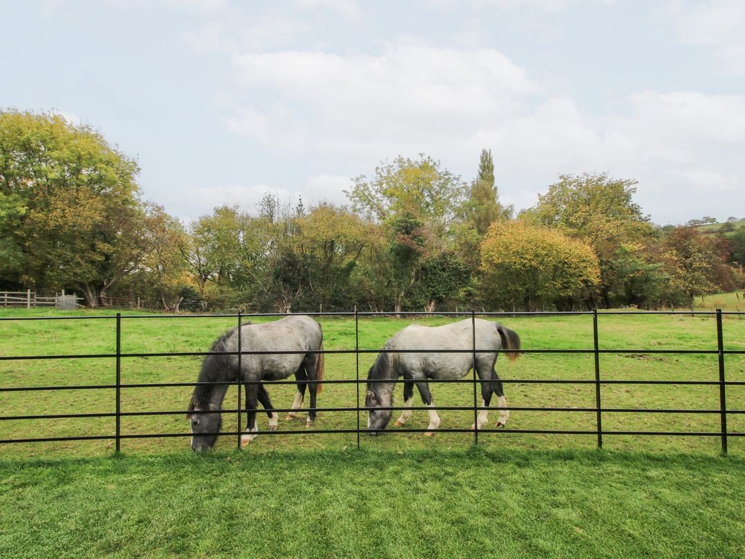 Grove Farm