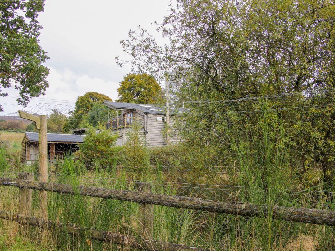 The Chicken Coop