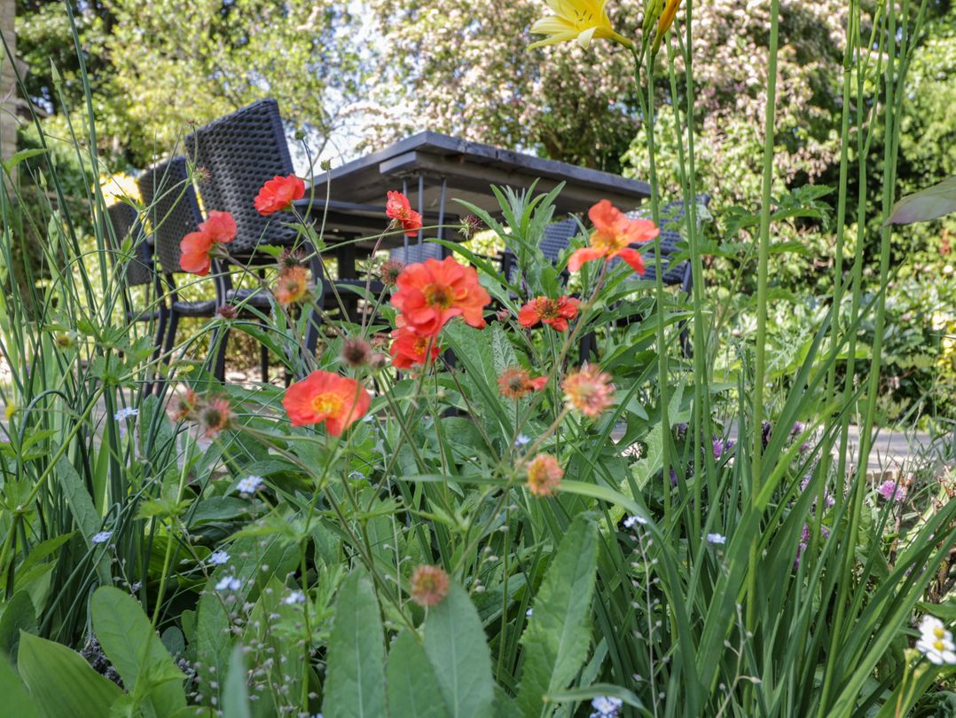 Fox Den Cottage