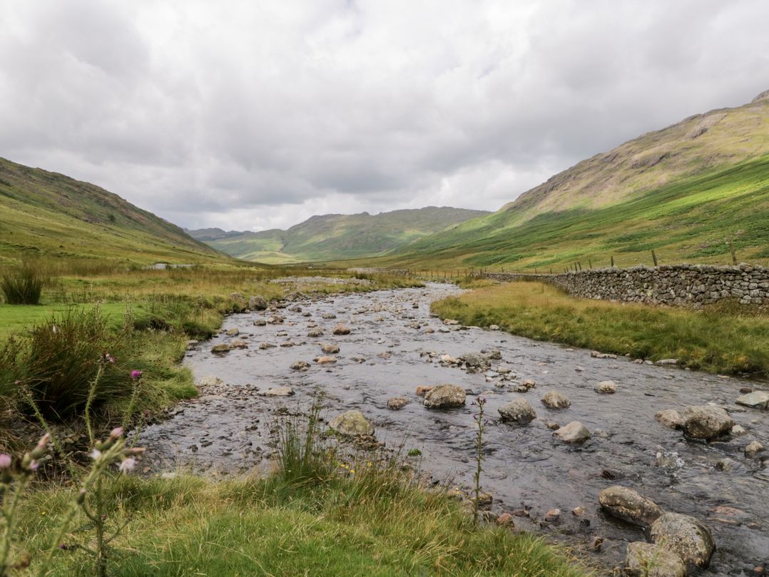 Grizedale
