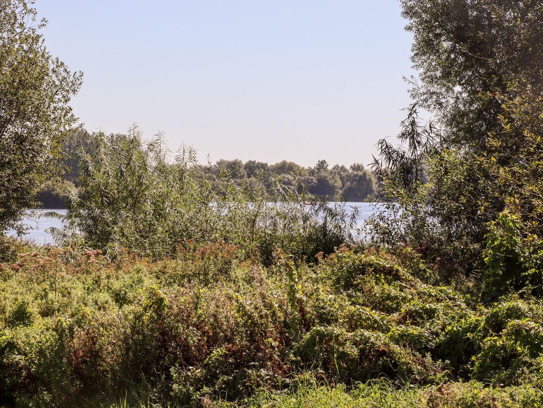Kingfishers Cottage 6