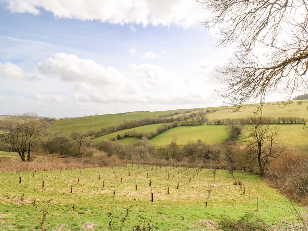 The Orchard