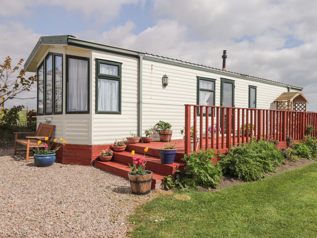 The Cabin