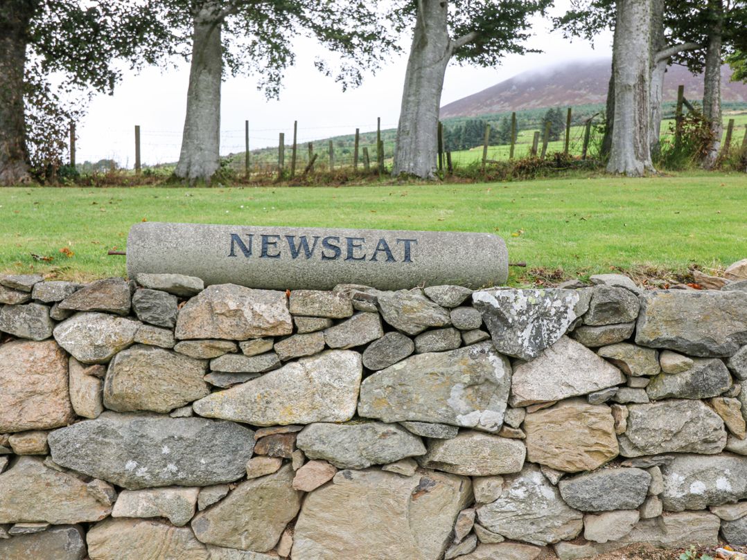 Newseat