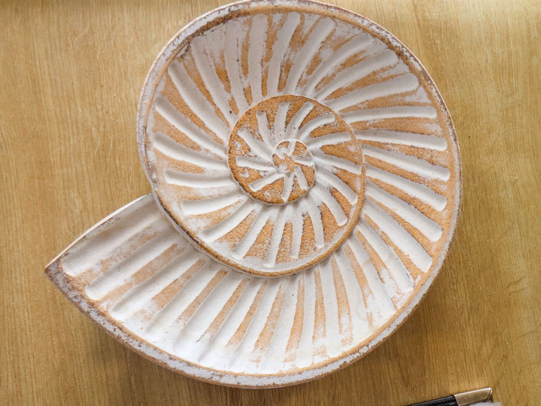 Ammonite Lodge