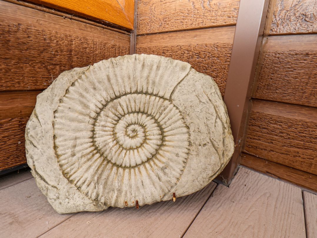 Ammonite Lodge