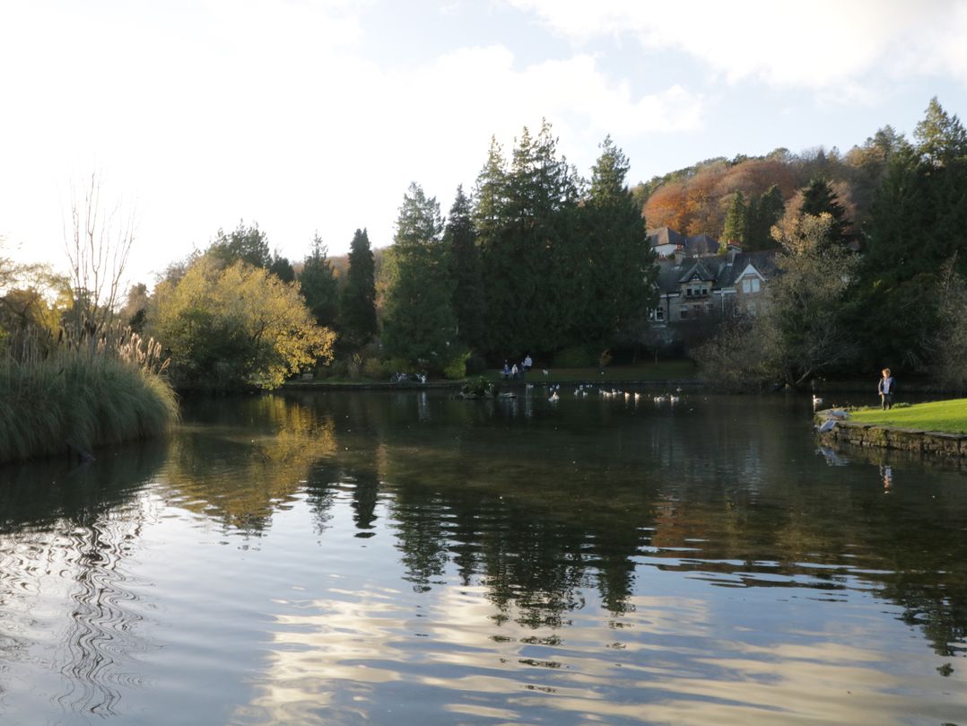 Rolo's Retreat