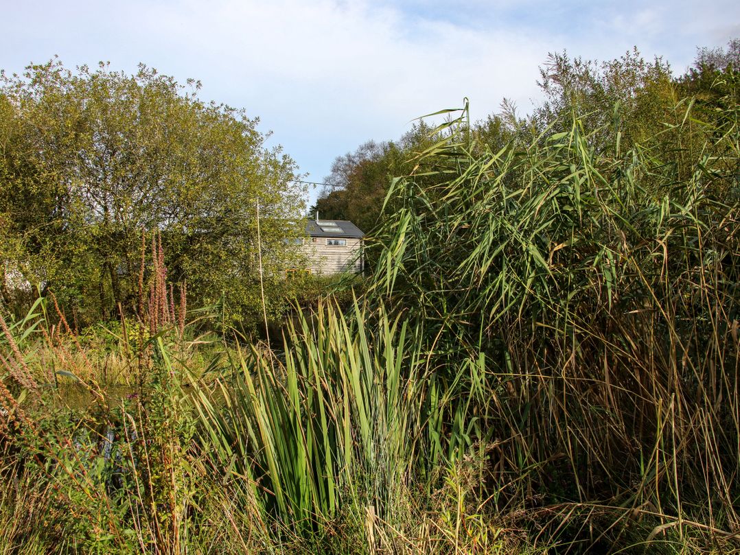 The Duckhouse