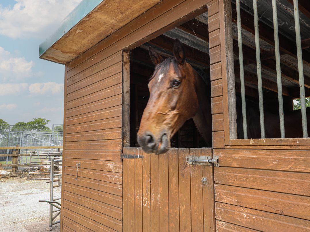 The Cow Shed at Pear Tree Farm