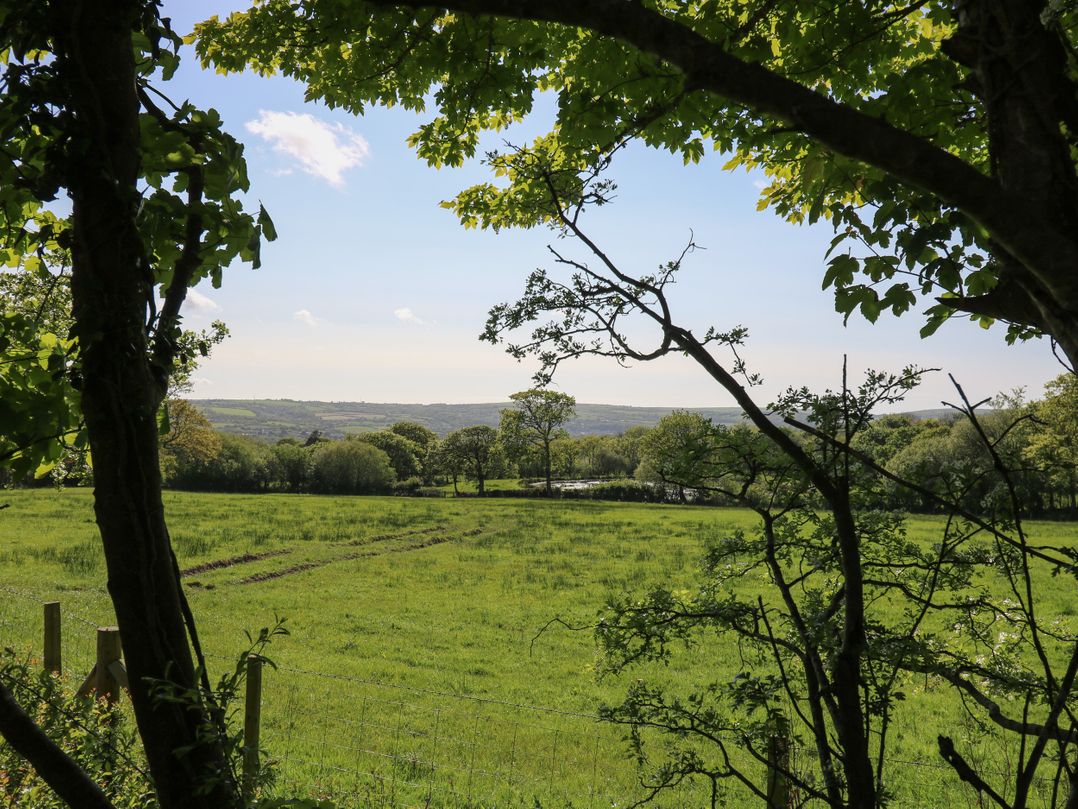 Cattle Tree Cottage