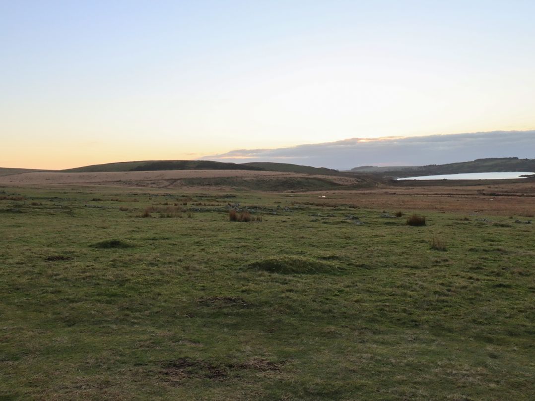 Lilyvale