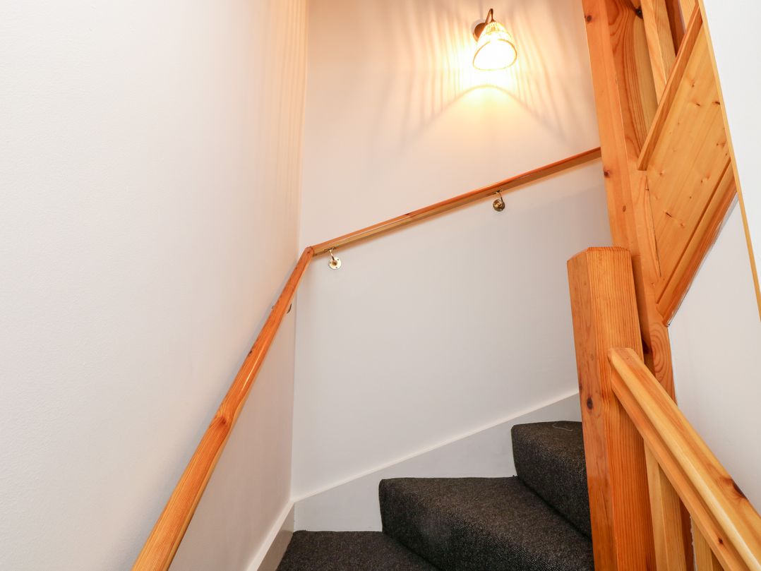 The Snug