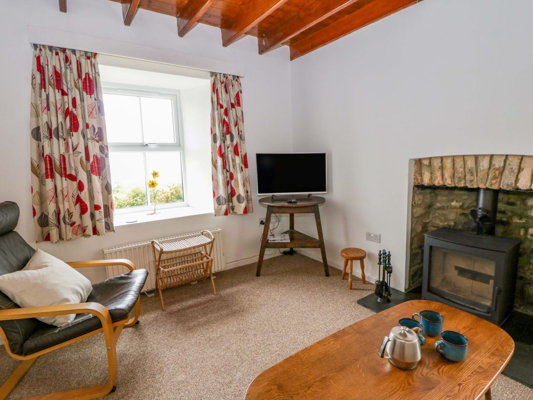 A living room with a television and a fireplace at Ceunant near Newport