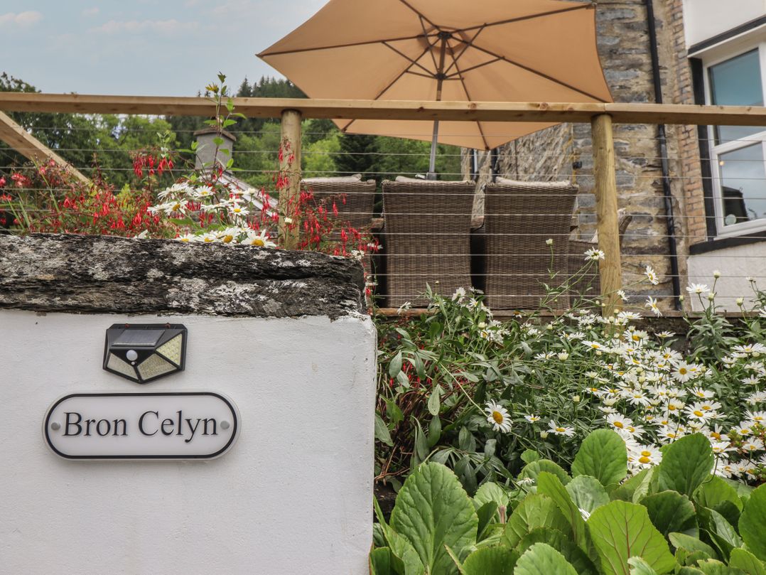Bron Celyn