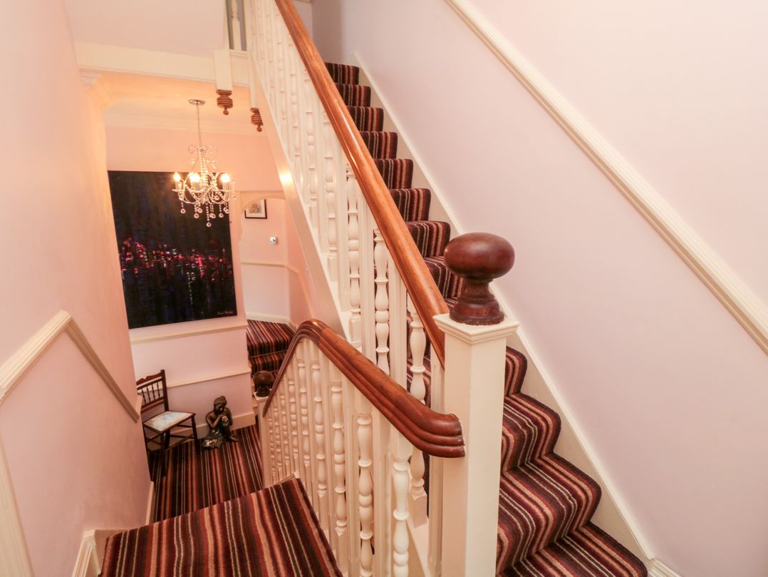 50 West Street Edelweiss