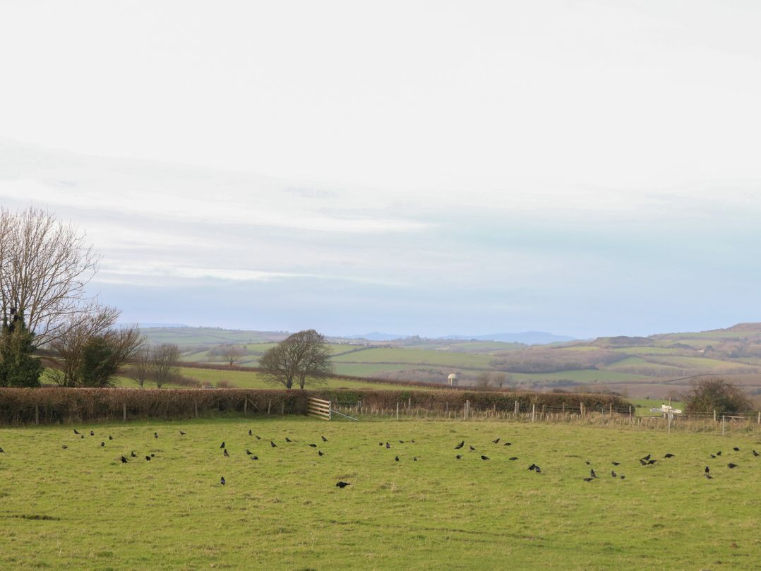 Oaklands