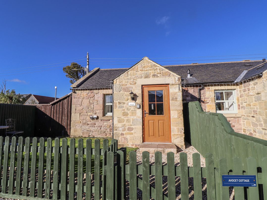 Avocet Cottage - Lucker Steadings