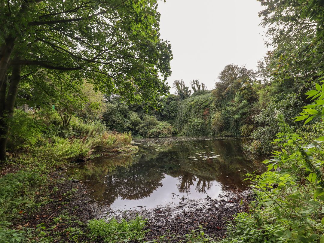 Quarry Haven