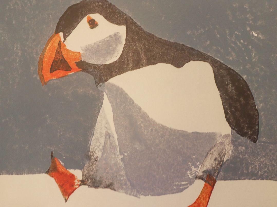 Fat Puffin
