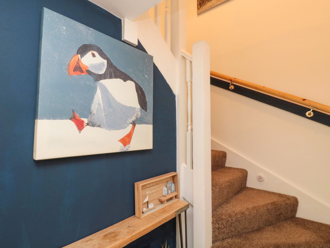 Fat Puffin
