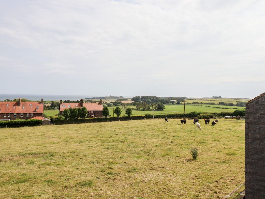 Dunstanburgh View