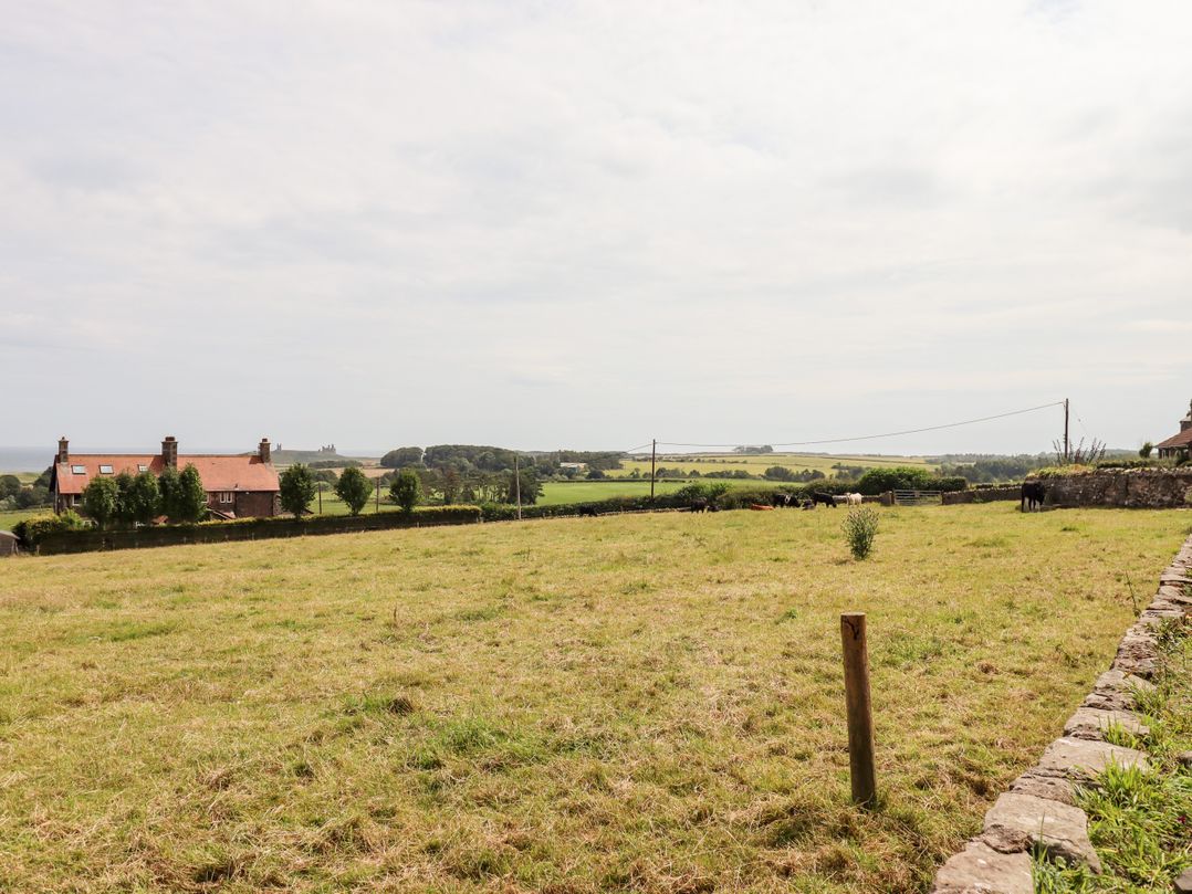 Dunstanburgh View