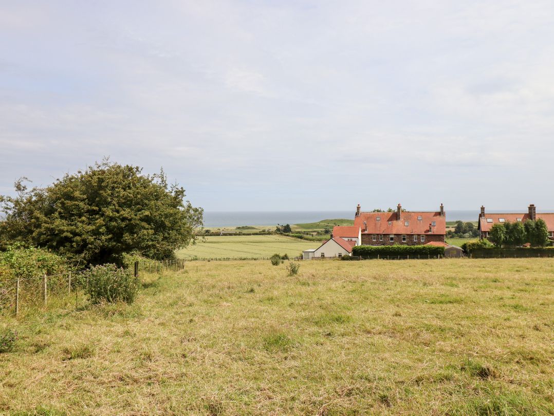 Dunstanburgh View