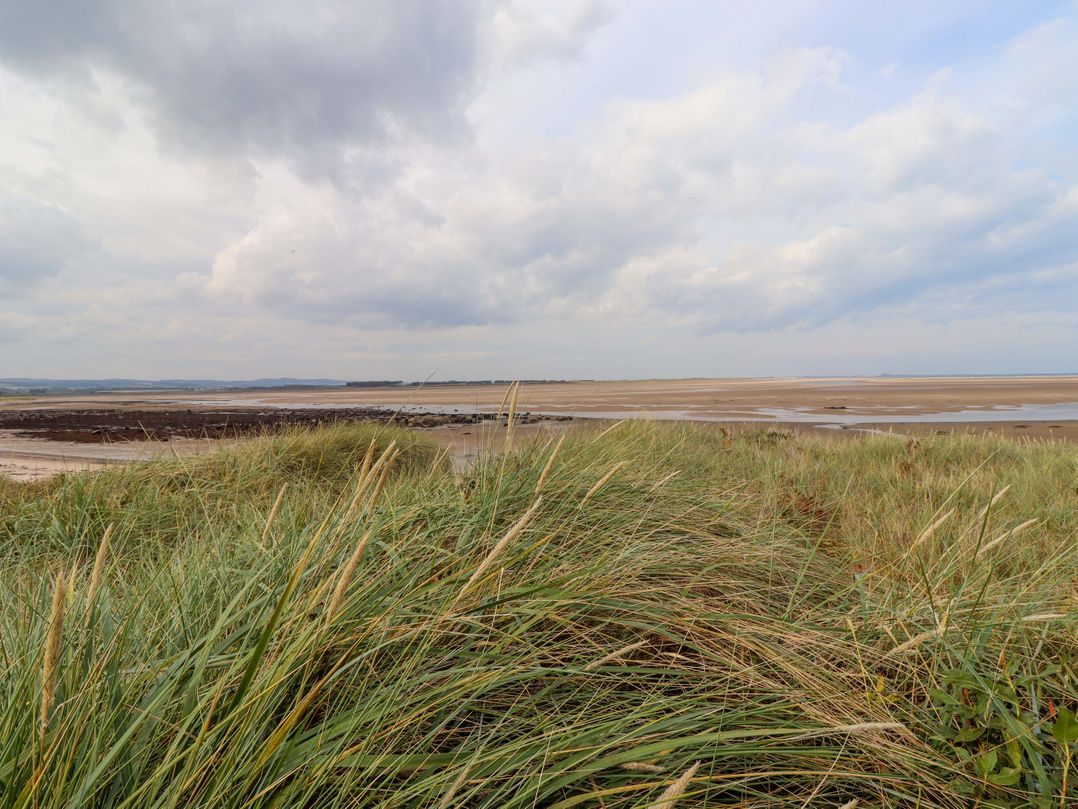 Heather Cottages - Grey Seal