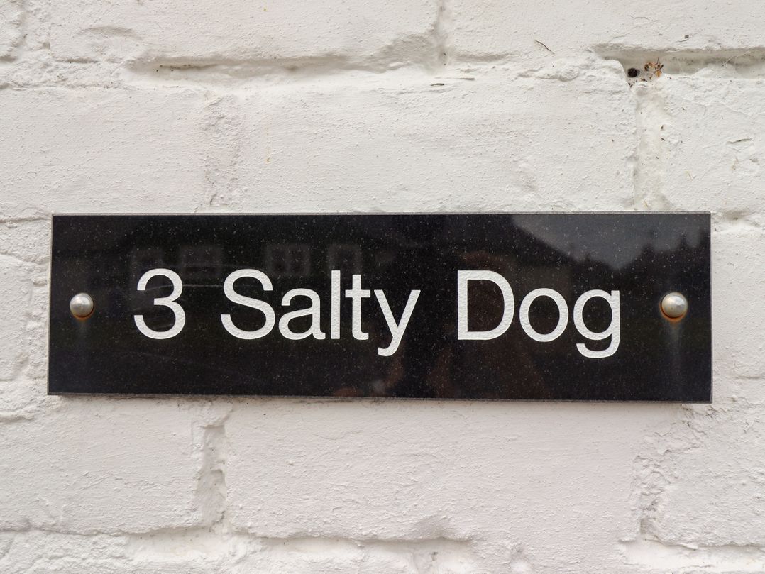 Salty Dog