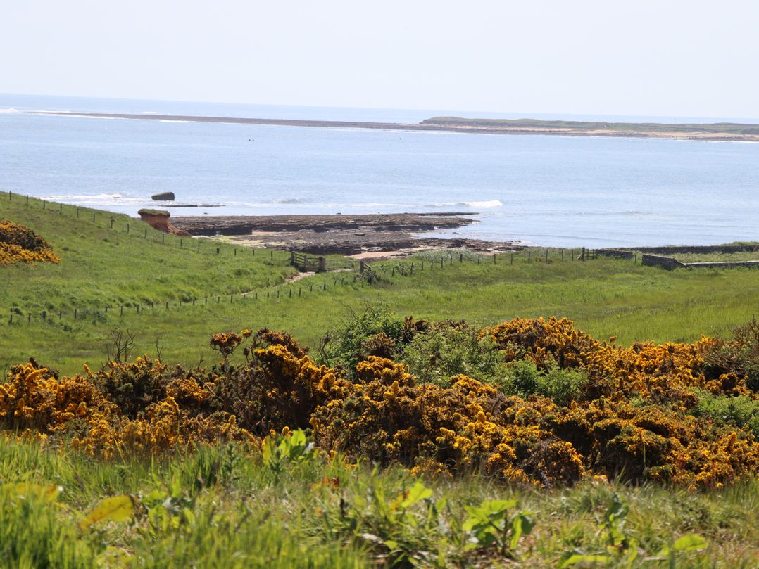 Seaview (Howick)