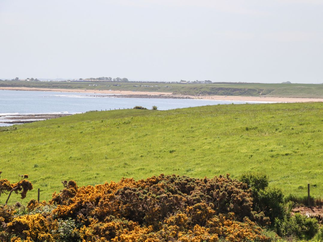 Seaview (Howick)