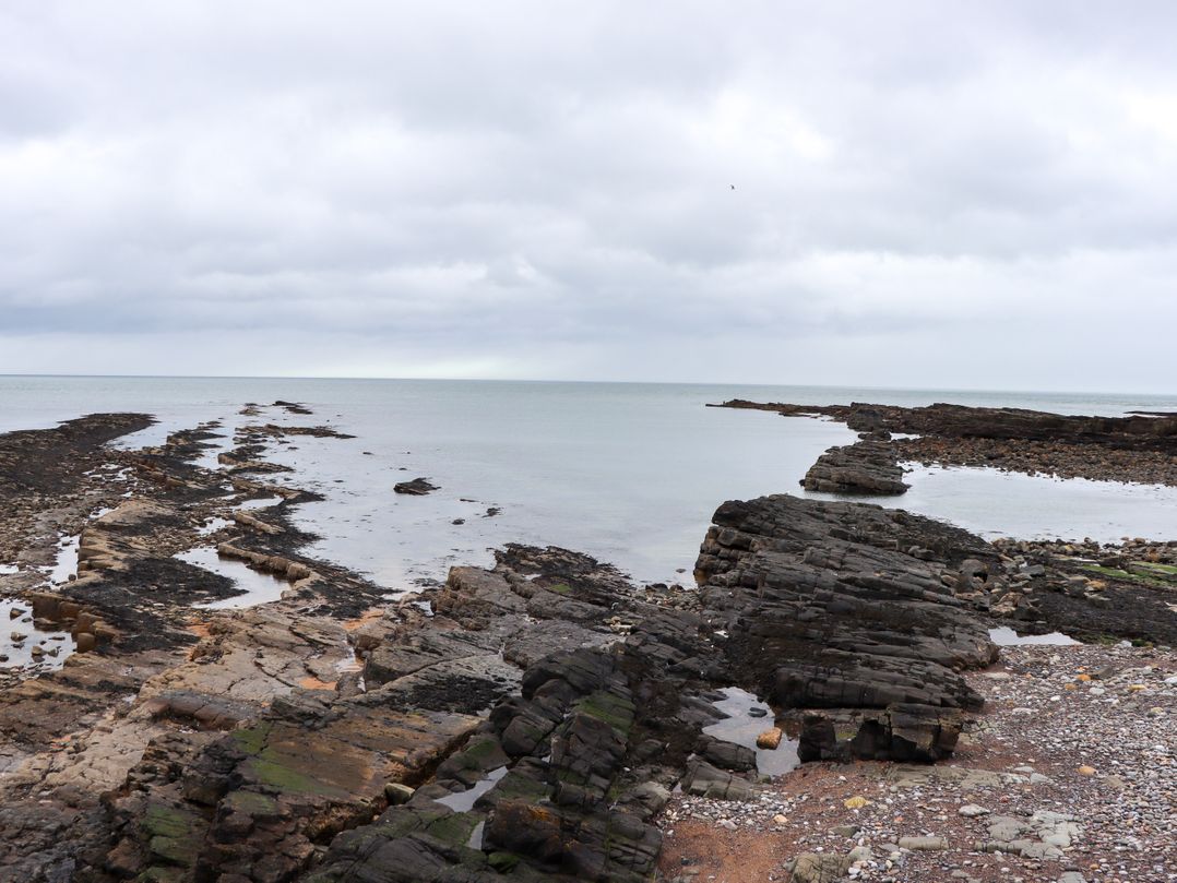 Barnacle Cove