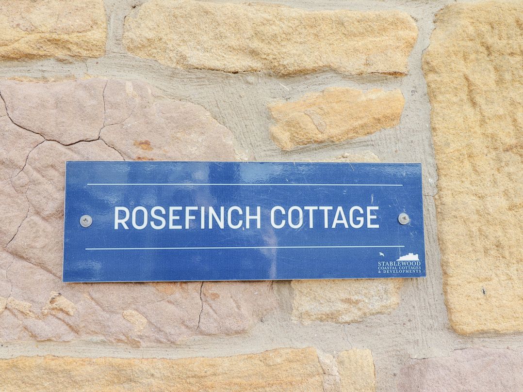 Rosefinch