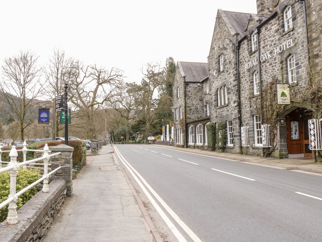 Bron Celyn Bach