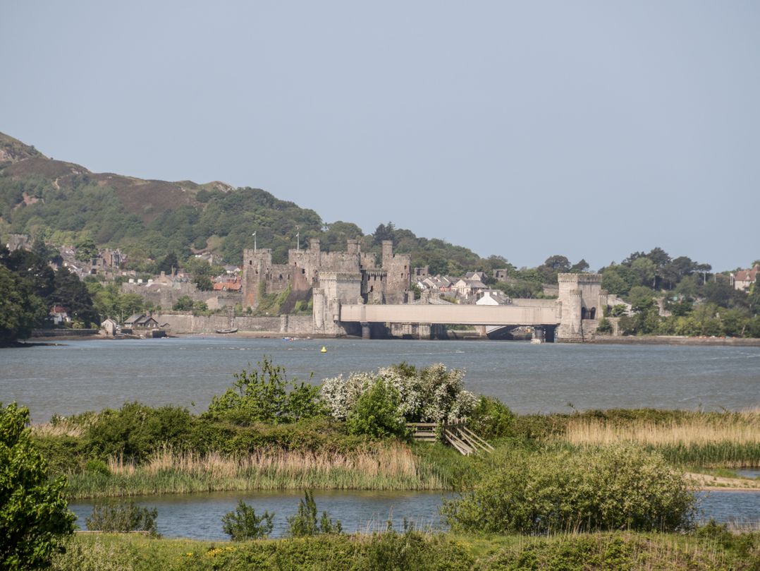 Bron Celyn Bach