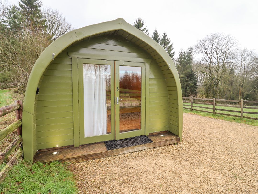 Chestnut 5