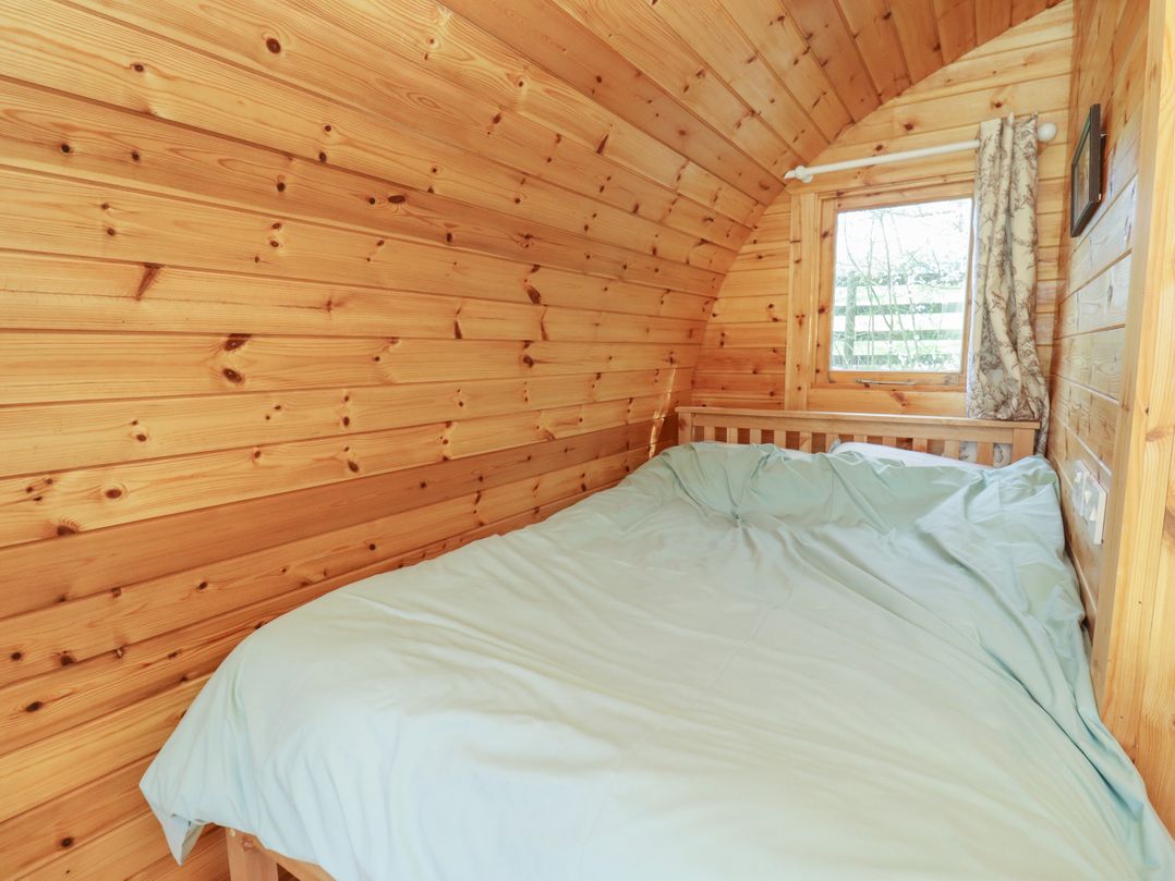 Chestnut 5