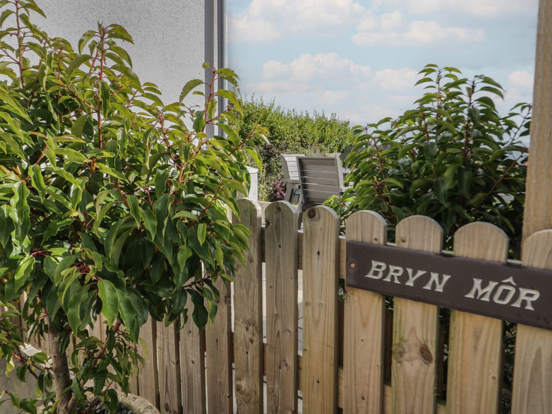 Bryn Mor