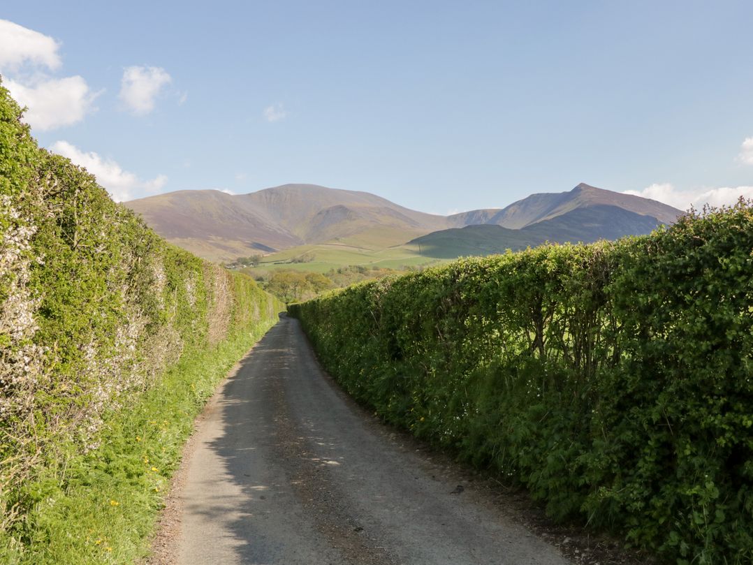 Nordene
