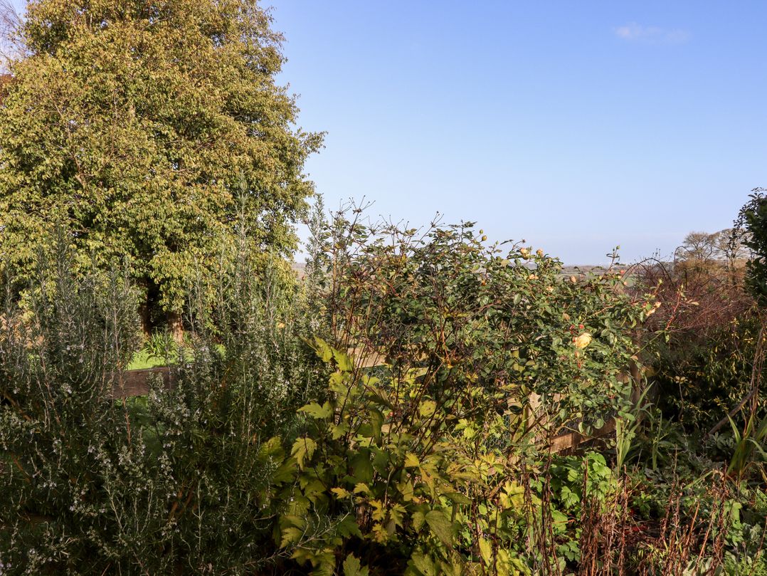 Tillingham View