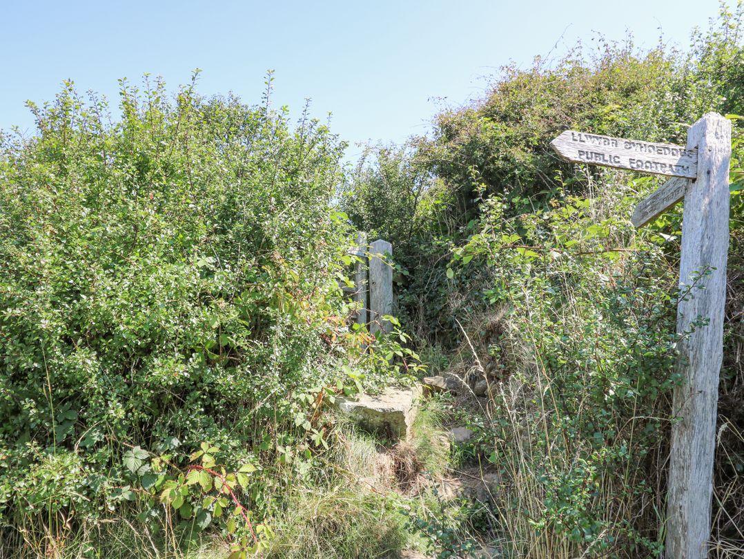 2 Sunny Hill
