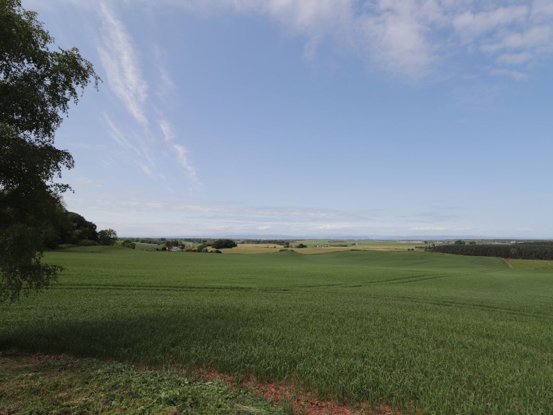Firthview